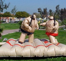 T11-125 Set boxe sumo