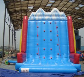 T11-458 Giant Inflatable Sports