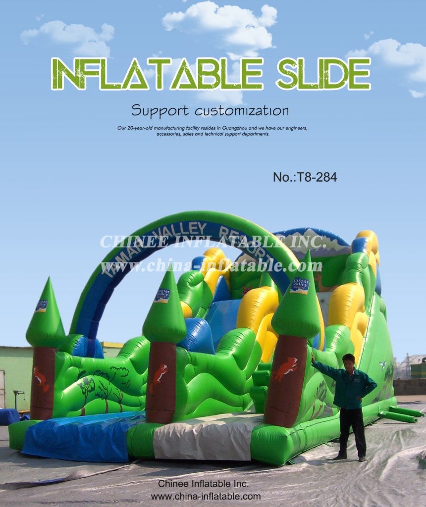 T8-284 - Chinee Inflatable Inc.