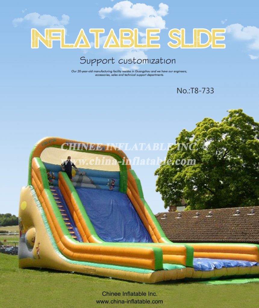 t8-733 - Chinee Inflatable Inc.