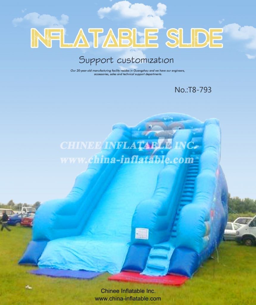 t8-793 - Chinee Inflatable Inc.