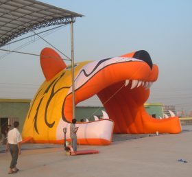 Tent1-74 Tenda gonfiabile Tiger