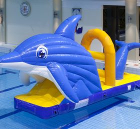 WG1-020 Giochi di sport acquatici con piscina delfino