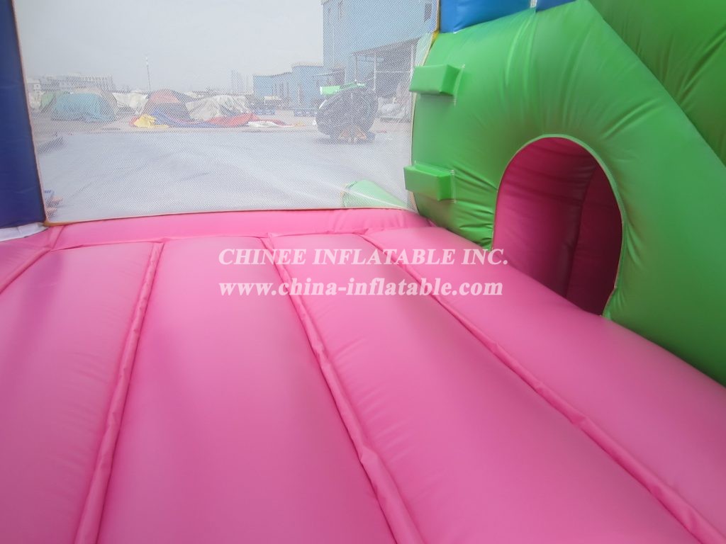 T2-2598 Dog Inflatable Combo