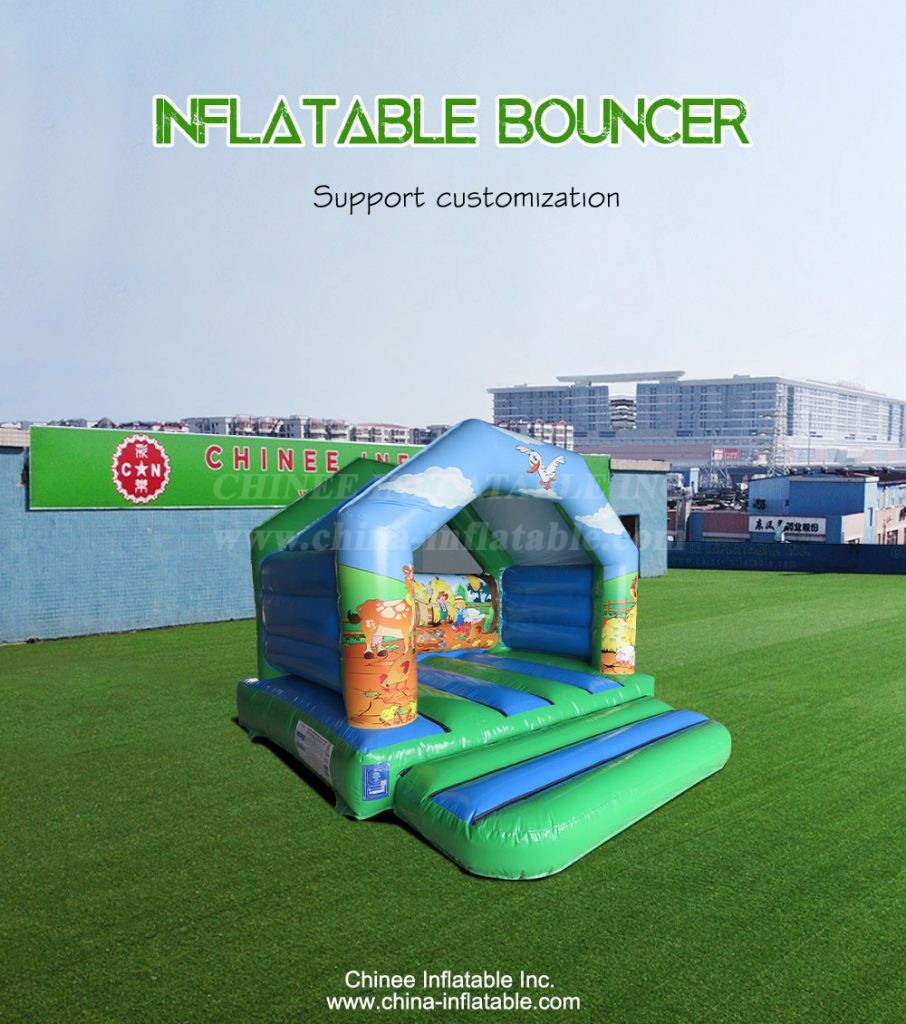 T2-4156-1 - Chinee Inflatable Inc.