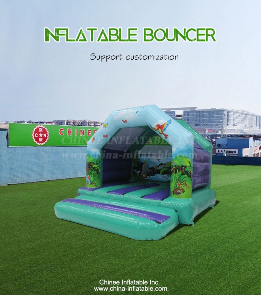T2-4160-1 - Chinee Inflatable Inc.