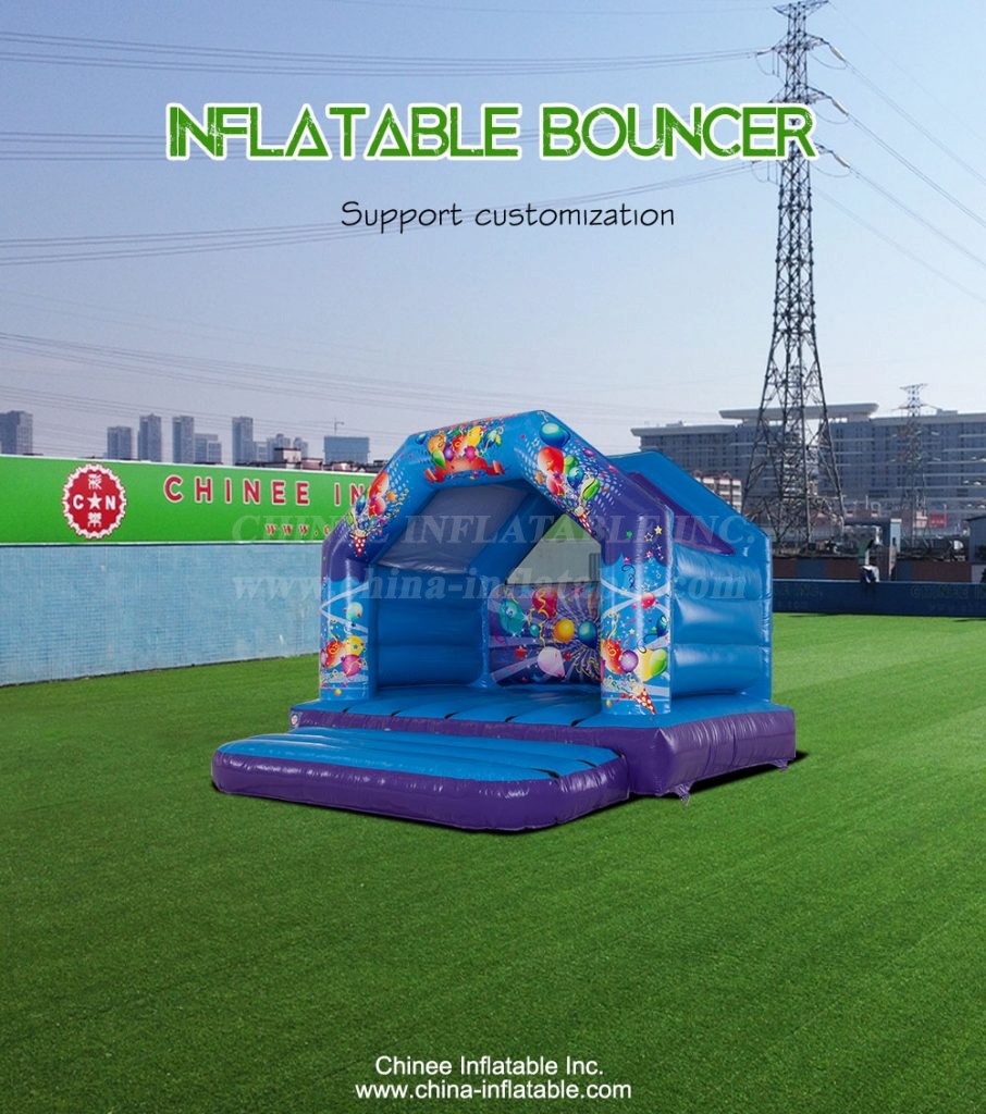 T2-4169-1 - Chinee Inflatable Inc.