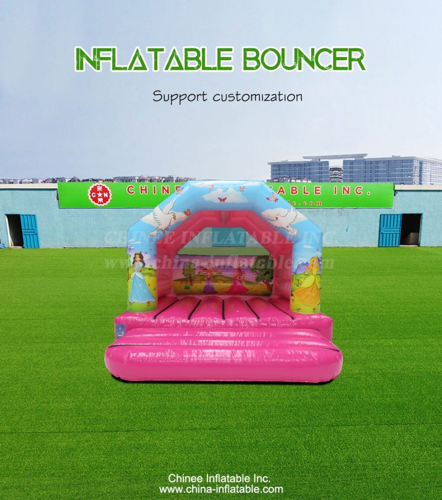 T2-4171-1 - Chinee Inflatable Inc.