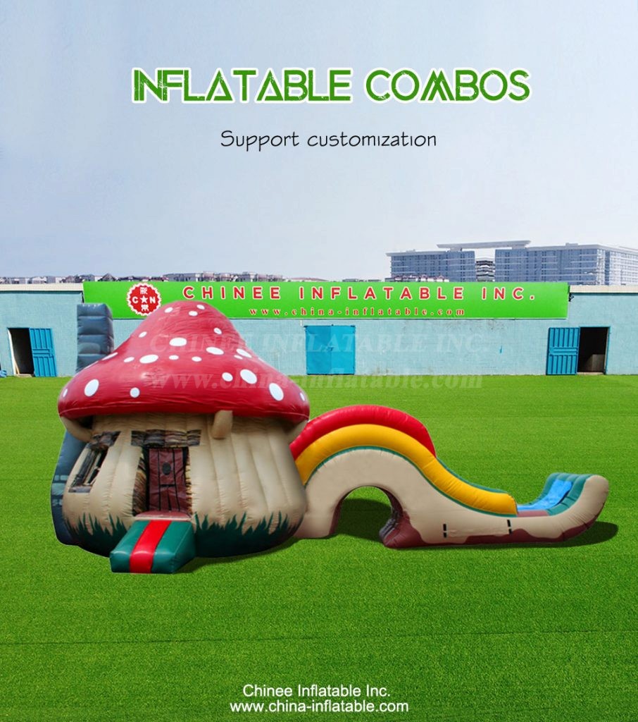 T2-4220-1 - Chinee Inflatable Inc.