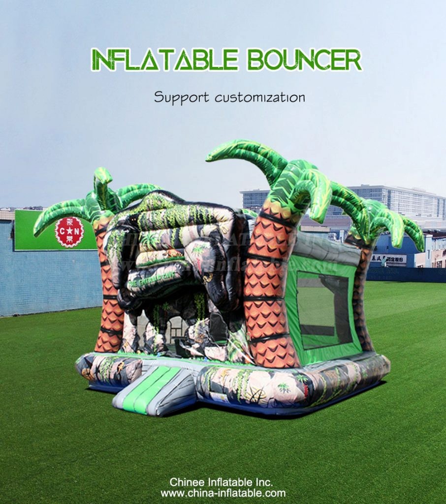 T2-4223-1 - Chinee Inflatable Inc.