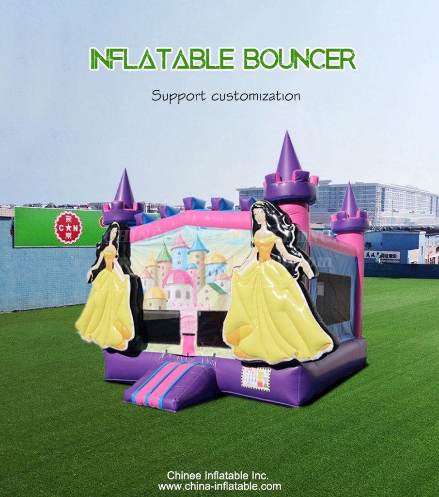 T2-4231-1 - Chinee Inflatable Inc.