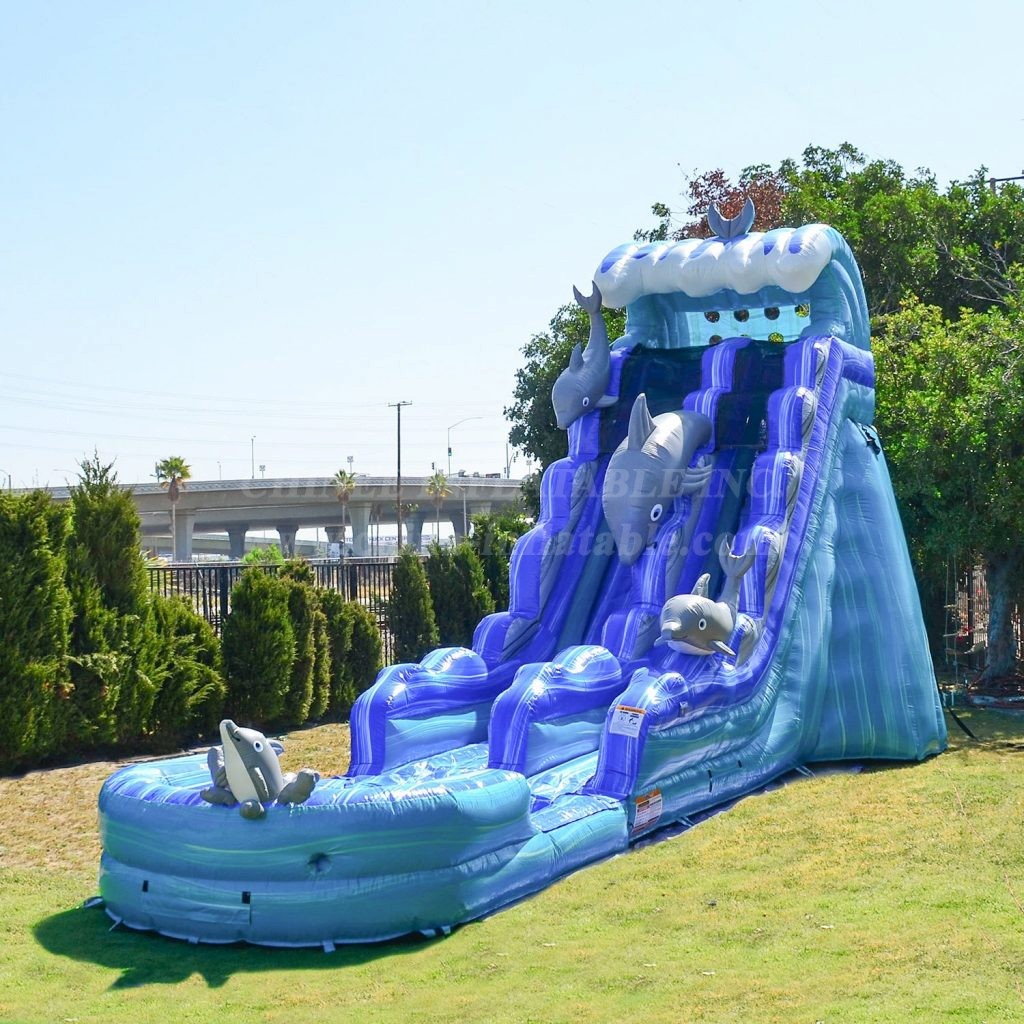 T8-4128 Dolphins 19 Ft Slide With Detachable Pool