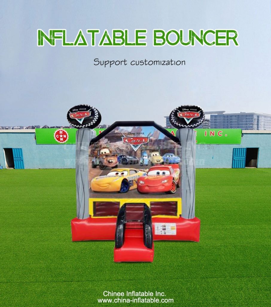 T2-4246-1 - Chinee Inflatable Inc.