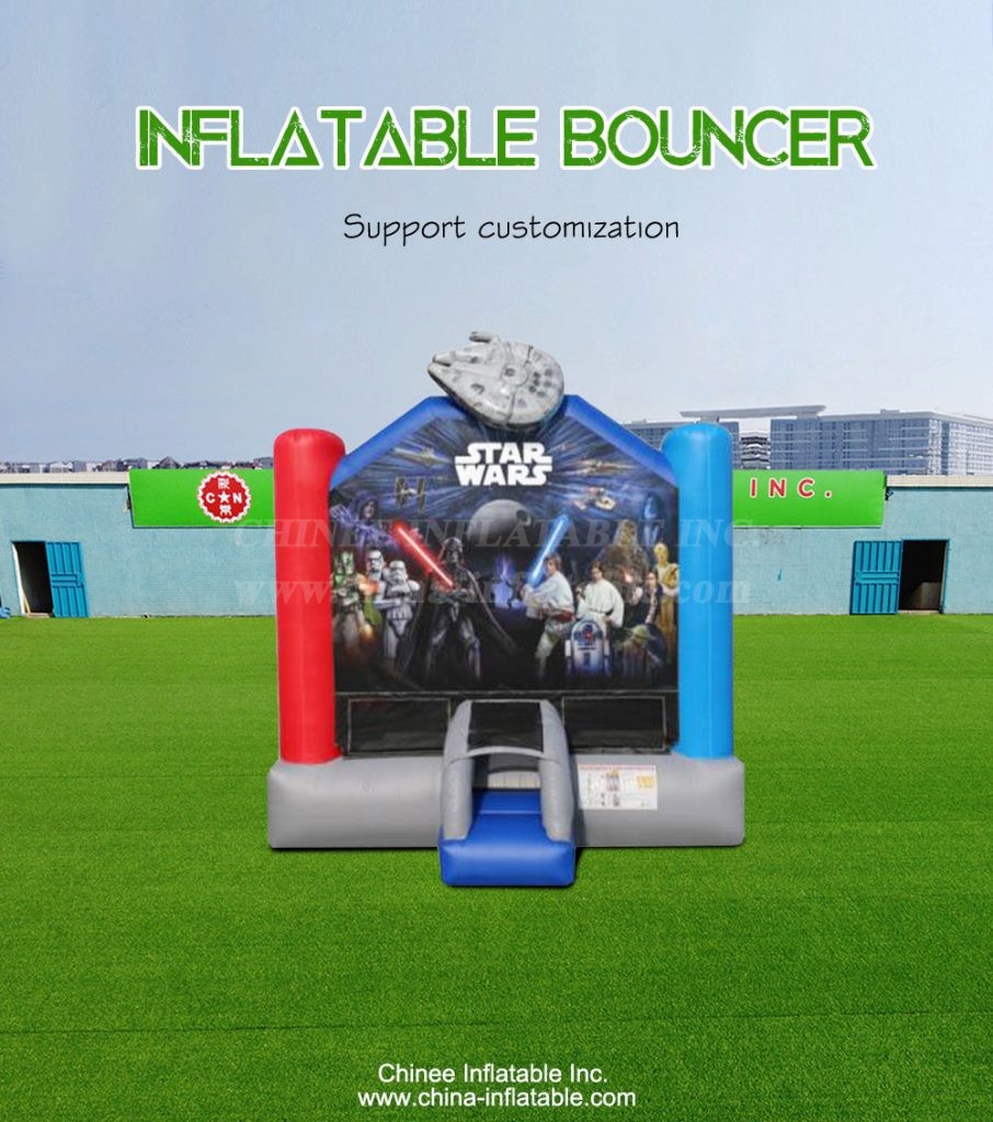 T2-4248-1 - Chinee Inflatable Inc.