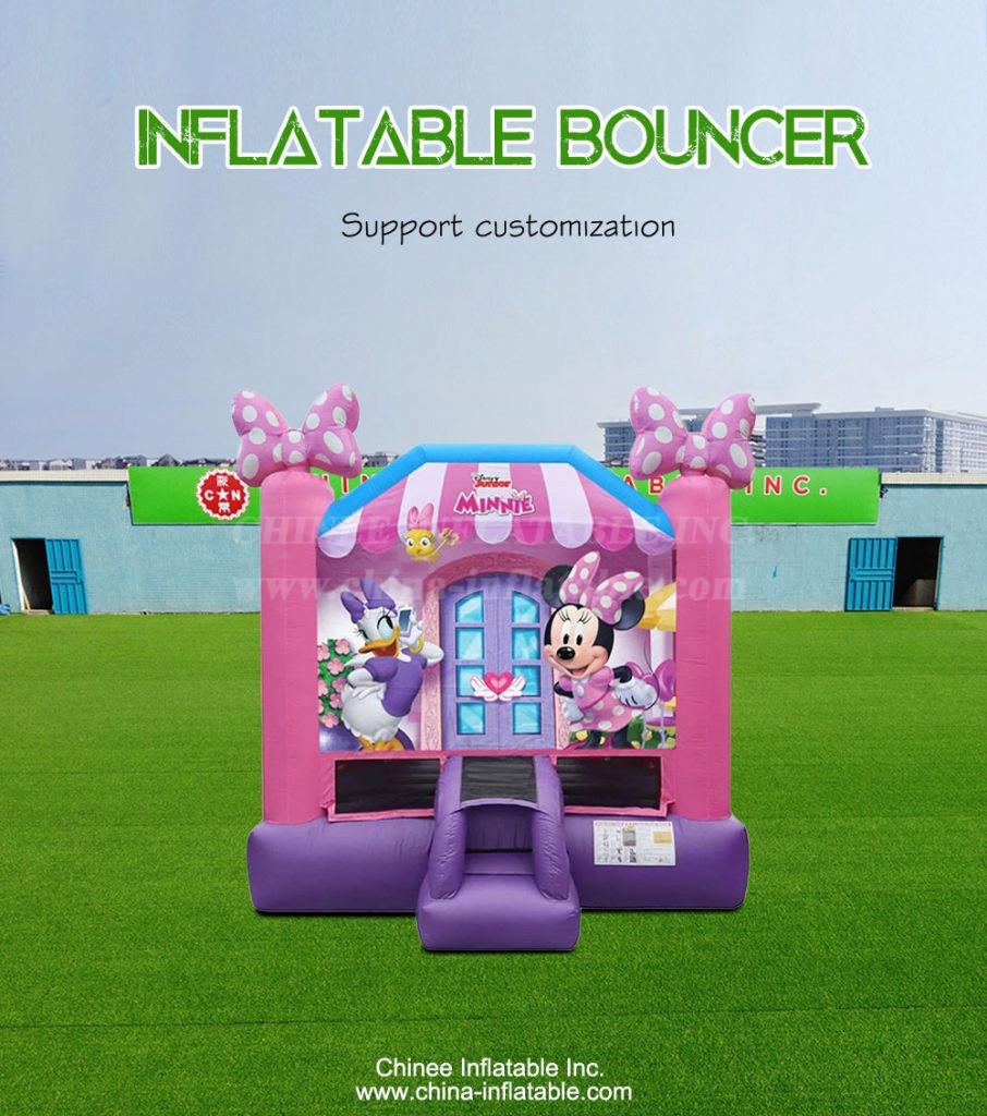 T2-4255-1 - Chinee Inflatable Inc.