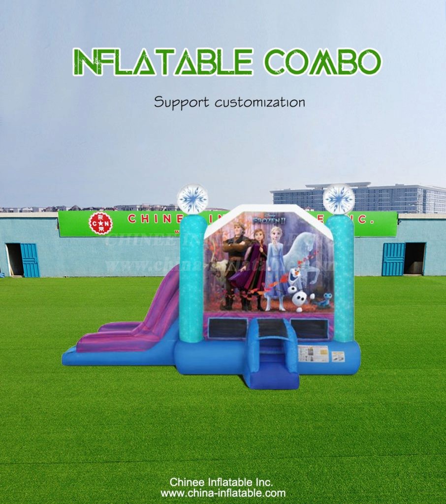 T2-4276-1 - Chinee Inflatable Inc.