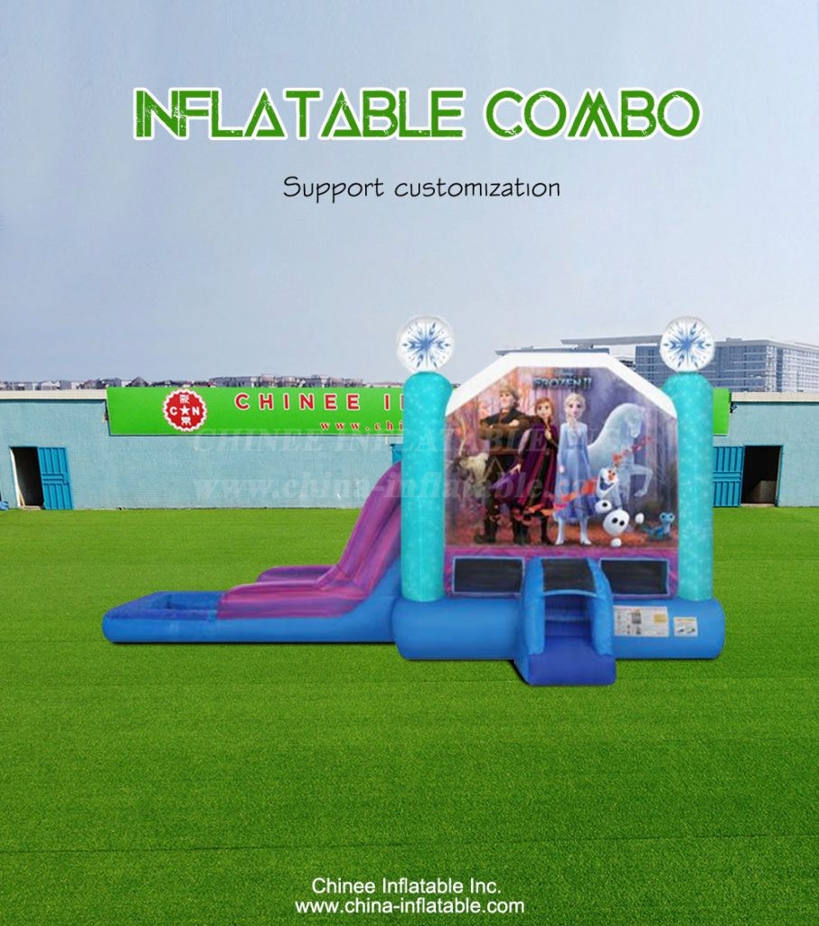 T2-4309-1 - Chinee Inflatable Inc.