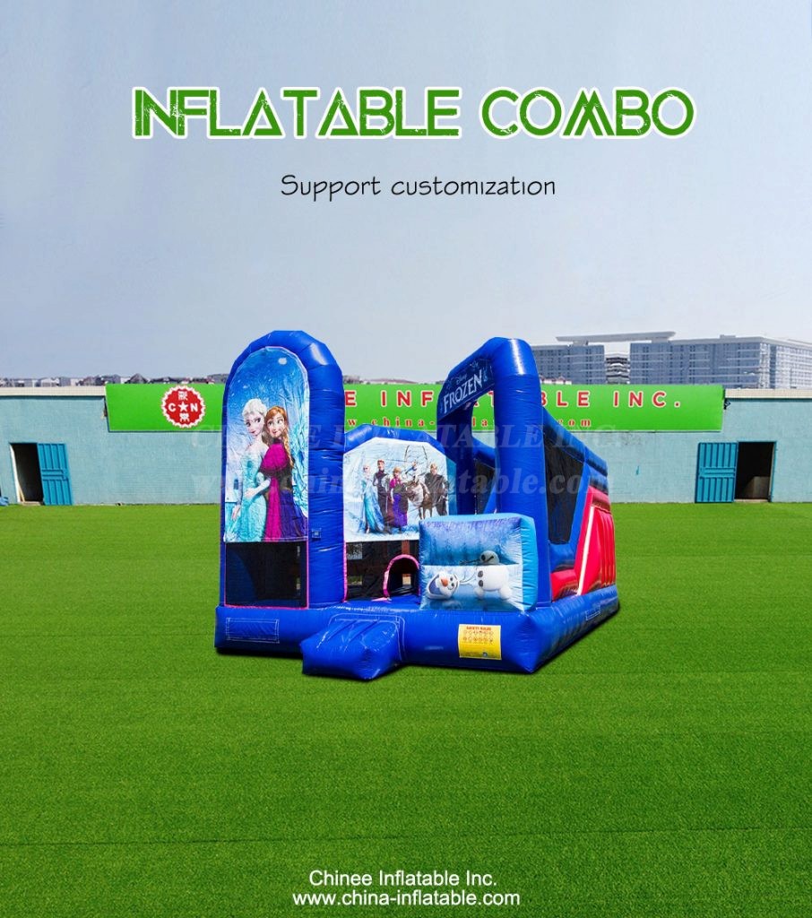 T2-4325-1 - Chinee Inflatable Inc.