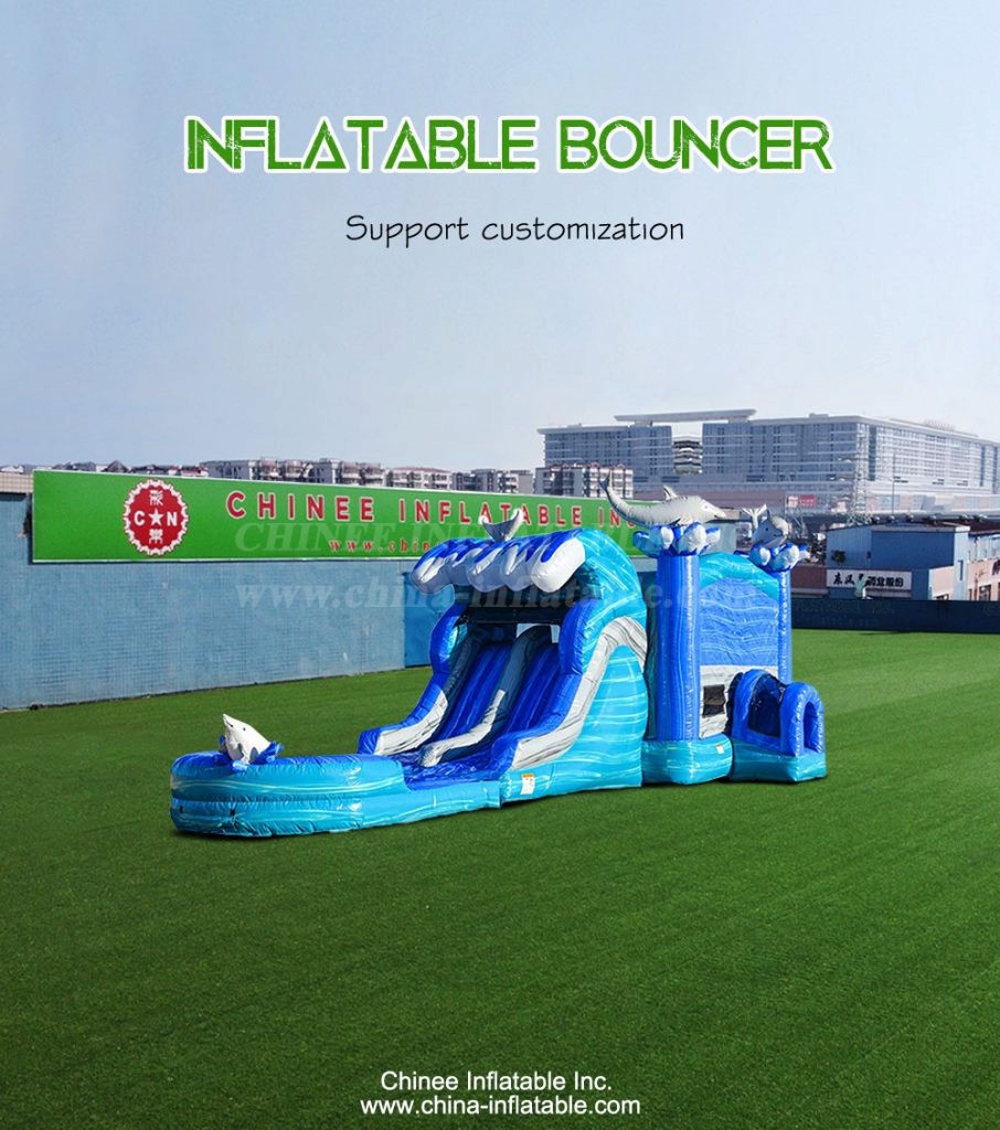 T2-4341-1 - Chinee Inflatable Inc.