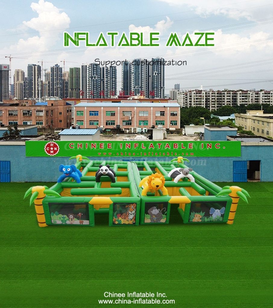 T11-3137-1 - Chinee Inflatable Inc.