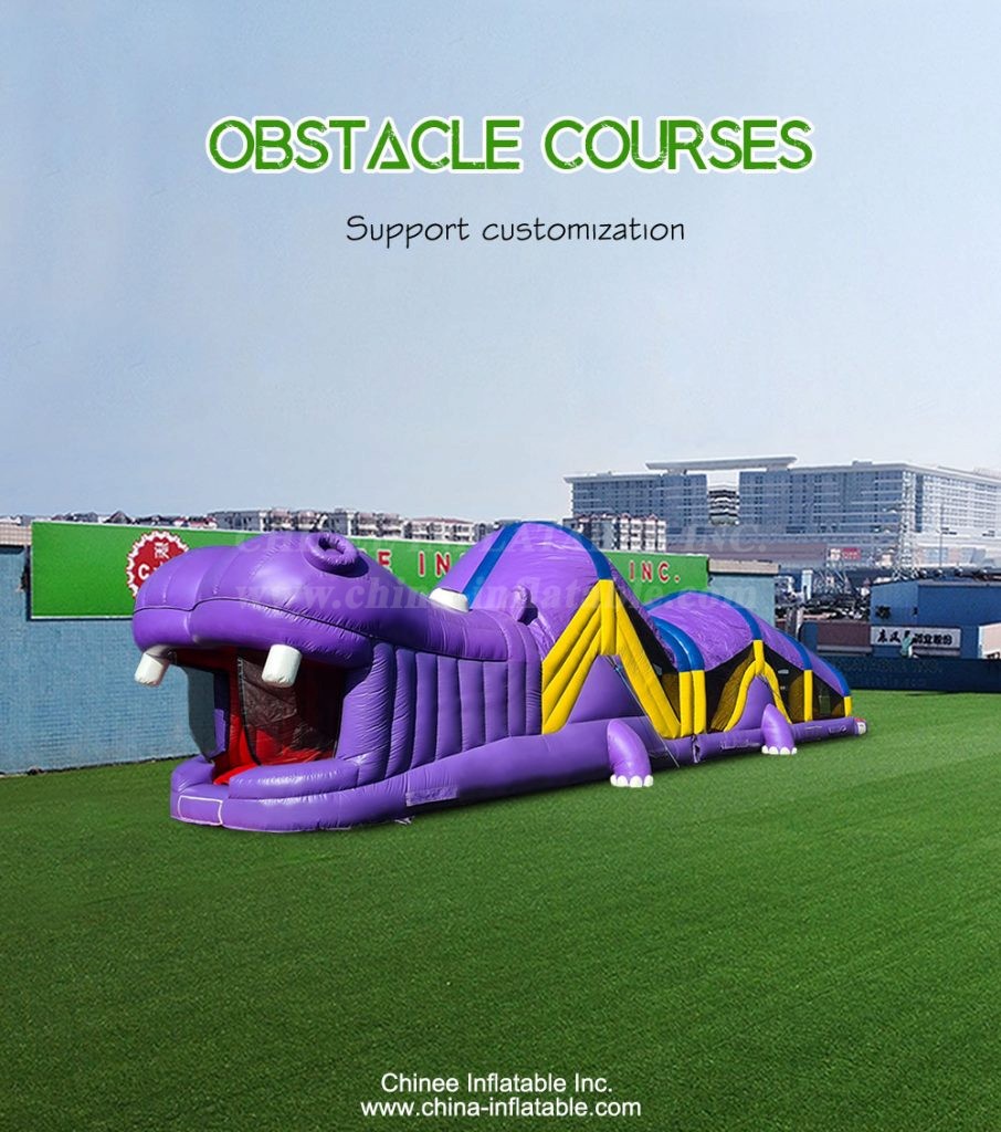 T7-1432-1 - Chinee Inflatable Inc.