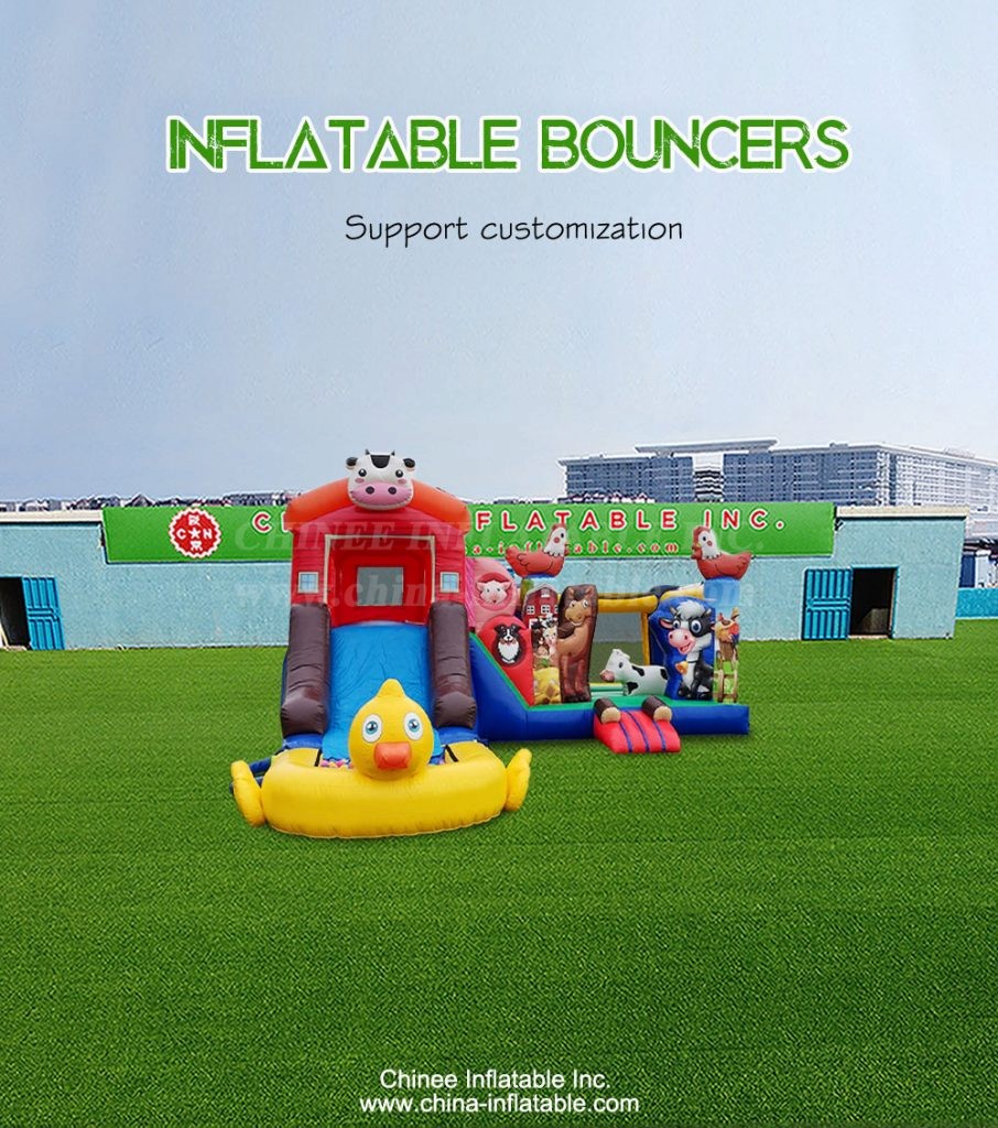 T2-4699-1 - Chinee Inflatable Inc.