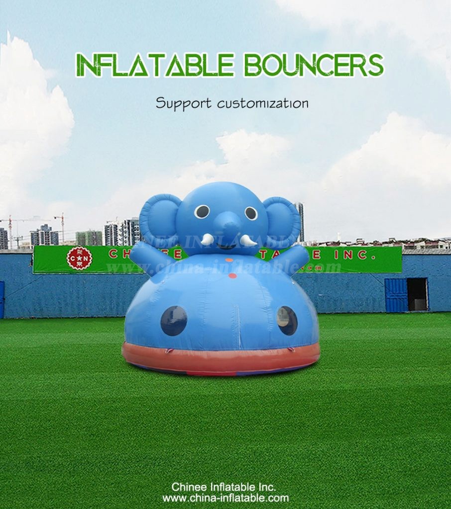 T2-4783-1 - Chinee Inflatable Inc.