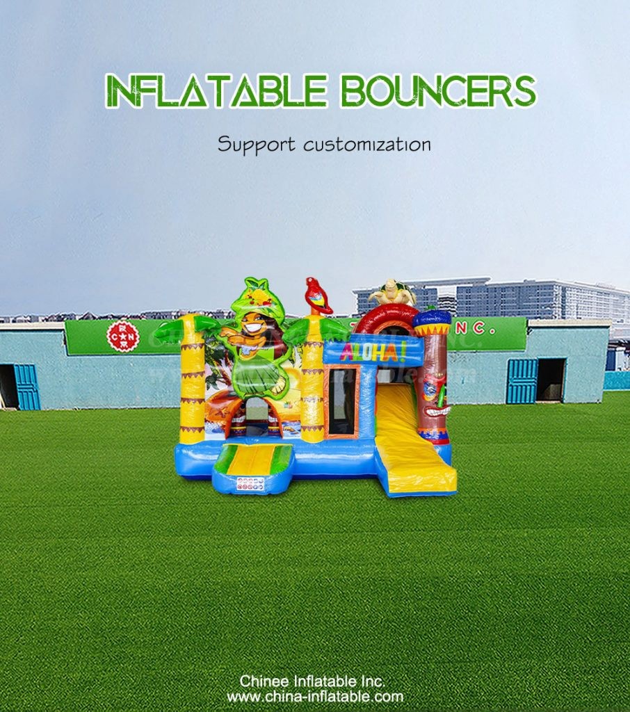 T2-4795-1 - Chinee Inflatable Inc.