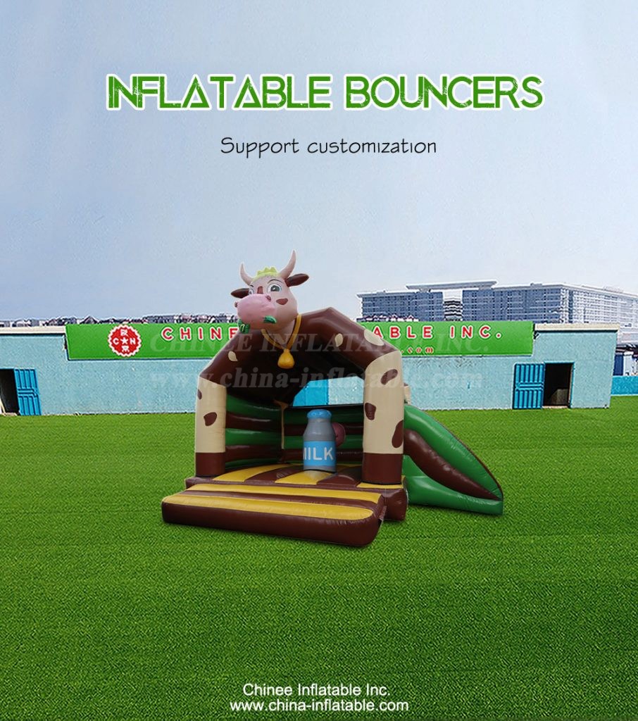 T2-4817-1 - Chinee Inflatable Inc.