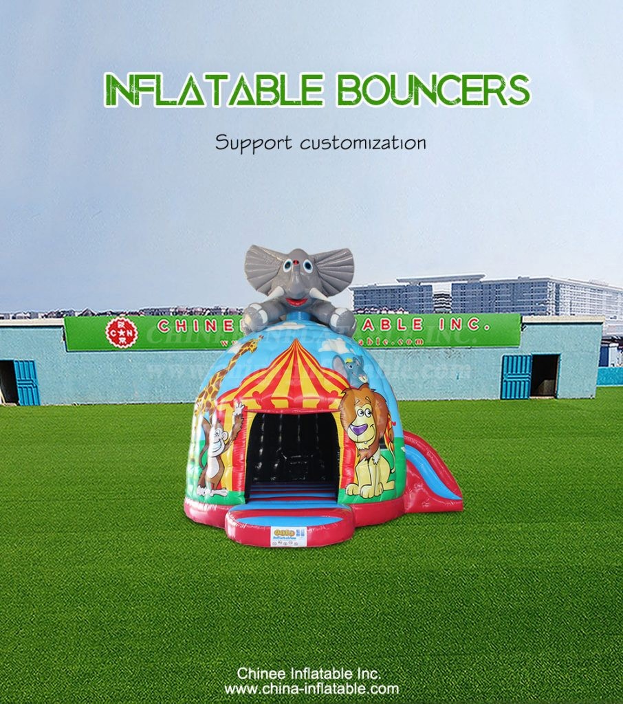 T2-4847-1 - Chinee Inflatable Inc.